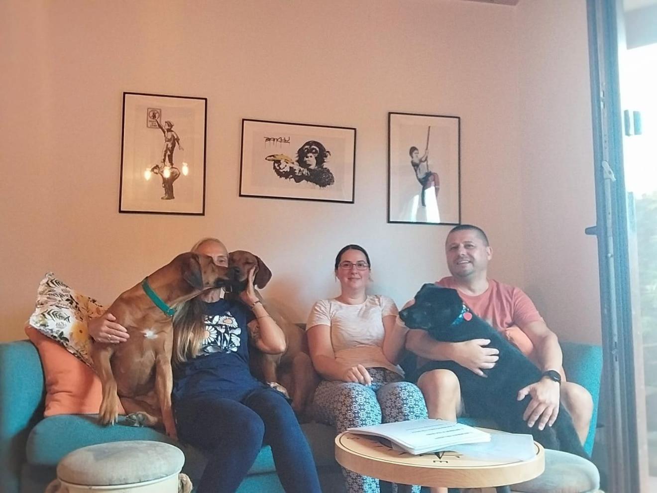Dogs Welcome! Domek Na Zacisznej بوغورزيلكا المظهر الخارجي الصورة